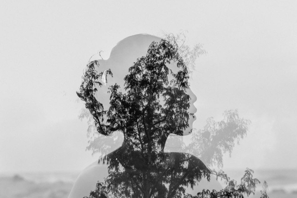 A silhouette of a lady with trees in signifying harmony and balance
