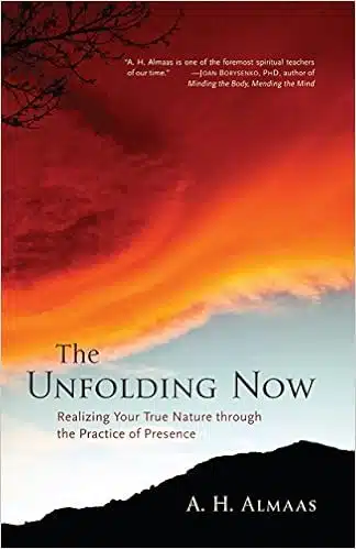 410YanlBjAL._SX322_BO1204203200_ 410YanlBjAL. SX322 BO1204203200 Recommended Reading - Integrative Coaching